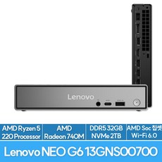 레노버 씽크센터 neo 55q Gen 6 13GNS00700 고성능 업무용 미니PC EU, R5 220, Free DOS, 2TB, 32GB, 블랙