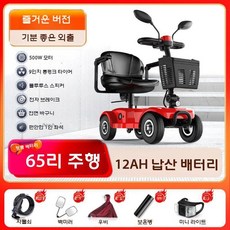 노인전동스쿠터 어르신 전동차 전동 오토바이 전기 바이크 스쿠터, 감상 납산 12Ah 65마일 -24V