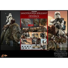 Hot Toys 星際大戰 沙漠風暴兵 & 濕背獸 1/6 比例 MMS721 MMS722 套裝組, 1個