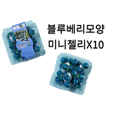 블루베리 모양 미니 젤리, 10개, 40g