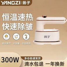 揚子 掛燙機 600W 蒸汽電熨斗 便攜式 手持式 干濕兩用, 【瓷金面板-1秒除皺導熱300W,【央視推薦 5年質保】-小米白, 小米白