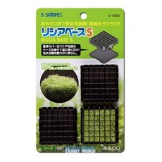 모스베이스 안전하게 있는 리시아를 간편하게 기를수, 상세페이지 참조, 1개