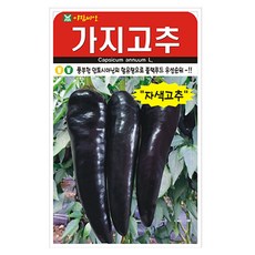 아람 가지고추 씨앗 10립, 3개