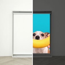 주문제작 빔스크린 영사막 블라인드