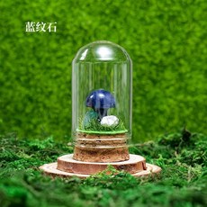 천연 크리스탈 광석 표본 혼합 원석 가정 장식 교육용 교재 미네랄, Blue veins stone