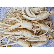 양질의토양에서자란 6년근풍기인삼도매 깨끗한A급1002g 중간굵기난수삼 무료세척택배산지직송, 1개, 253g