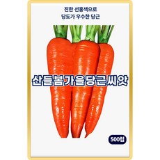 산들 봄가을 당근 씨앗 500립 당도 우수한 봄 가을 당근씨 종자, 1개