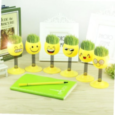 식물관리팁 스프링 이모티콘 잔디머리 기르기, 본상품