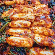 조미료 안쓴 총각김치 아삭한 알타리 김치, 1kg, 1개