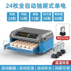110V全自動蘆丁孵化機，小雞孵蛋器，小型家用智慧孵化箱，自動翻蛋，受熱均勻, 1個, 24枚全自動（單電+溫度+濕度+天數）