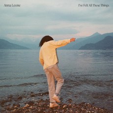 [ 903204 ] 나는 이 모든 것들을 느꼈다 [LP 레코드]