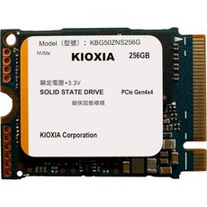 KIOXIA SSD 256 GB M.2 2230 30mm NVMe PCIe 4.0 Gen 4 x BG5 OEM