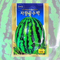 삼복꿀수박 200립 흥농 26년 수박씨앗