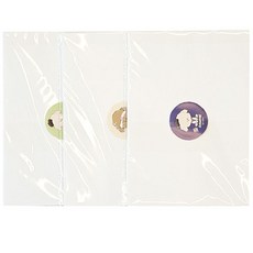 [담이네책상] B5 대형 투명 점착메모지 스티키노트 오답노트, B5투명대형(3EA)