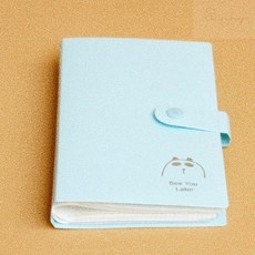 필오피스 카드 명함집 240장 스카이 명함수납함