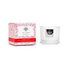 AQUIESSE 美國大豆蠟香氛蠟燭 冬日醋栗香 5oz 附盒裝 室內香氛, 1個, 季節限定✨冬日醋栗, 冬日醋栗