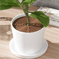 아기 고양이 흙파기 방지 19cm 화분 흙날림 커버 덮개 화분가리개, 1개
