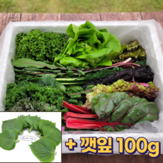 [비교불가] 허브온 모듬쌈 압도적 품질, 1세트, 유러피안 모듬쌈 700g+깻잎100g
