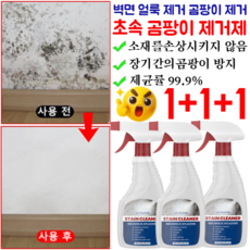 [일본 최신 기술]1+1+1벽면 얼룩 제거 곰팡이 제거 초속 곰팡이 제거제 제균률 99.9%, 1+1+1병/237ml