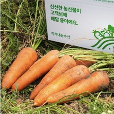 [미리내 농수산] 햇 당근 국내산 흙당근 제주 구좌 당근, 1개, 5kg [중]