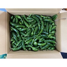 미소진 모닝고추 못난이 아삭이고추, 1개, 1kg