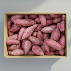 꿀고구마 해남 특품 중상, 1박스, 10kg