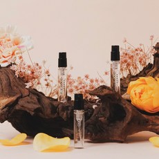 데일리콤마 시그니처퍼퓸 디스커버리세트 3.3ml*3개입, 3개