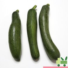 사라상회 쥬키니 5Kg (보통), 1개