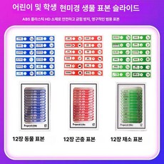 프레파라트 48종 표본 실험도구 식물 현미경 체험, 36장 곤충 야채 A, 기본 색상