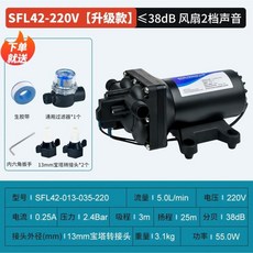 SURGEFLO 電動隔膜泵 增壓泵 自吸泵, 1個, 型號*F42 電壓*220V 流量*5升