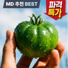 [한정초특가]단짠단짠 대저토마토 고당도 로얄과 짭짤이토마토, 1박스, 짭짤이 2.5kg(3S-S)