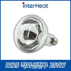 인터히트/R125/적외선/220V/250W/375W/뷔페보온램프/열전구/보온전구/히팅램프/따뜻한음식, R125 적외선전구 250W, 1개
