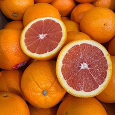 수입과일 L 카라카라 오렌지 5개입 [P], 없음