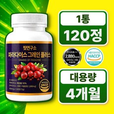 핏연구소 파라다이스 그래인 추출물 플러스 정품