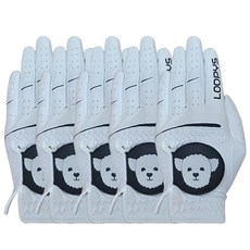 루피스 컬러 골프장갑 왼손착용 5장, 5개, 화이트