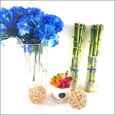 들꽃향기 수경재배 3단개운죽 마디개운죽20cm~50cm 행운목 1+1, 마디개운죽20cm(20개), 1개