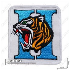 【ARMYGO】空軍F-5E虎式戰機機種 部隊章, 1個, 不車魔鬼氈