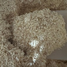 火腿小舖 德國J RS 3-4S 分裝 實驗室無塵原味木屑 倉鼠木屑 低粉塵 厚鋪推薦, 1個, 250g