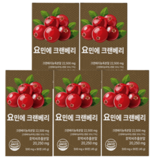 크랜베리 영양 호박씨추출분말 배뇨, 5개, 90정