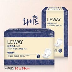르웨이 와이드라운드형 30매+물티슈10매 증정, FREE(onesize), 2개, 30개입