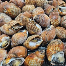 자숙 범고동 500g (37미 내외 초장 40g x 2팩 포함) x 2개