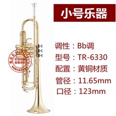 입문용 트럼펫 금색 연주용 골드 트럼팻 초보자 악기 금관 케이스, 1 에나멜골드트럼펫악기 TR6330, 1개