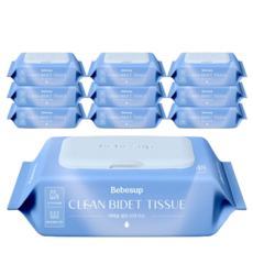 클린 비데티슈 캡형 화장실용 비데 물티슈, 55g, 48개입, 2개
