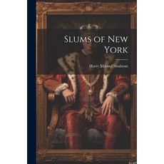 (영문도서) Slums of New York Paperback, Legare Street Press, English, 9781022887893