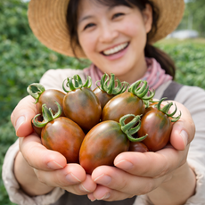 건강에 아주~ 좋은 흑대추 방울 토마토, 1개, 500g