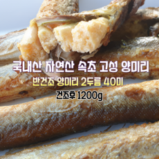 [산지직송] 국내산 자연산 속초 고성 햇 반건조 양미리 1두릅 20미. 2두릅 40미. 3두릅 60미. 제철생선 선물용 가정용, 1박스, 속초 고성 햇 반건조 양미리 2두릅 40미