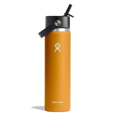 하이드로 플라스크 와이드 플렉스 스트로캡 보틀 946ml 젤리핑크, 680.4g(24온스), 화석