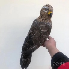 과수원독수리모형 조류퇴치용 독수리모형 장난감 모형 새 피규어 과수원 길이 50cm 농사, B. 독수리(40cm)