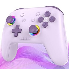GAMEASY 스위치 2 controller Enhanced Wireless Bluetooth Controller with Wake Up Hall Joysticks Progra, 퍼플
