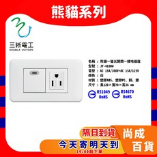 熊貓 JY-4108W 螢光一開一接地插座 附開關接地插座 (110V) BSMI認證, 1個, X